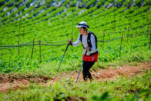 BIB: 
                            <button type="button" onclick="openModal(19164086)" class="btn btn-primary btn-sm float-right btn-popup" data-toggle="modal" data-target=".modal-high-quality">
                        <i class="fas fa-shopping-cart"></i> Add to Cart
                    </button>
                                            <button type="button" onclick="isThisMe(19164086, true)" class="btn btn-success btn-sm float-right btn-popup btn-isme hidden" data-toggle="tooltip" data-placement="bottom" title="นี่คือรูปของคุณใช่ไหม คลิกที่นี่เพื่อเอาเข้าอัลบั้ม">
                        <i class="fas fa-plus"></i> Add to album
                    </button>
                    <button type="button" onclick="isThisMe(19164086, false)" class="btn btn-warning btn-sm float-right btn-popup btn-isnotme hidden">
                        <i class="fas fa-ban"></i> Remove from album
                    </button>